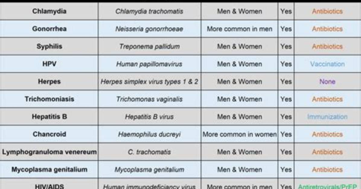 What Is Std List