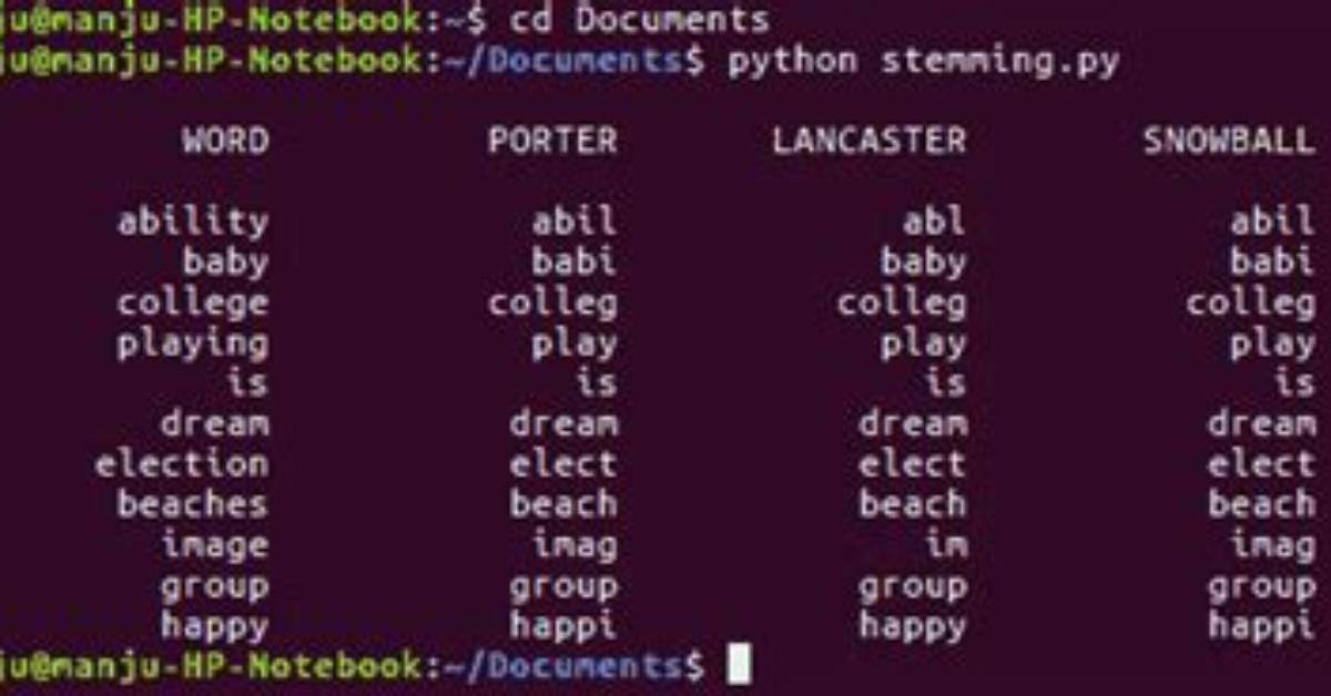 What Is Stemmers in Python?