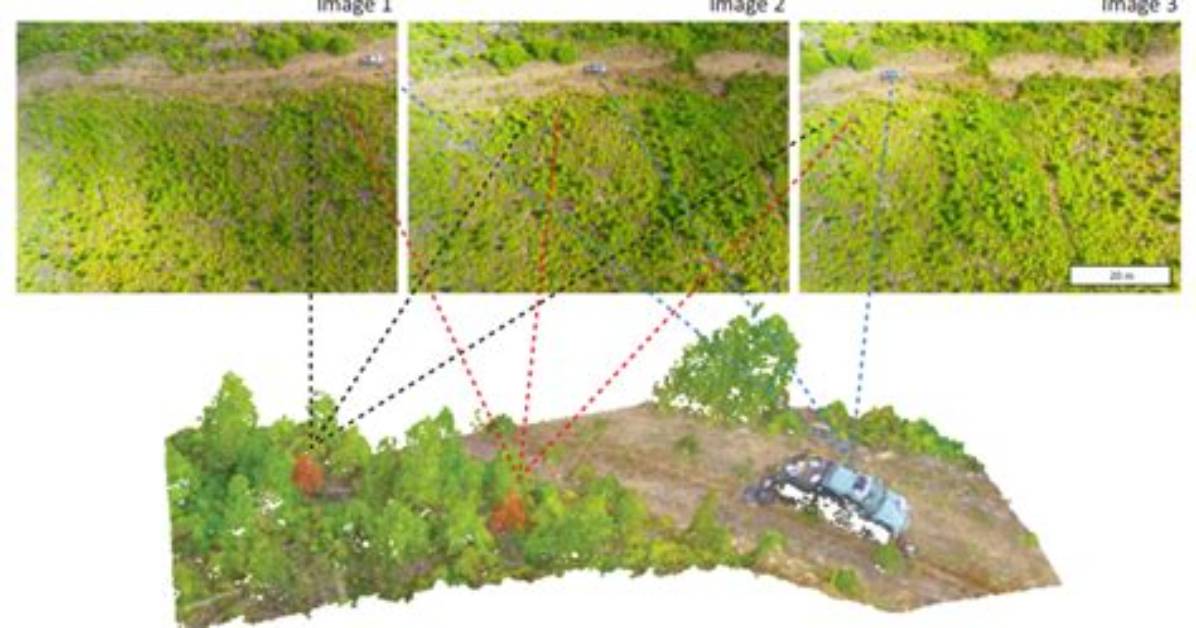 What Is Stereo Imagery?