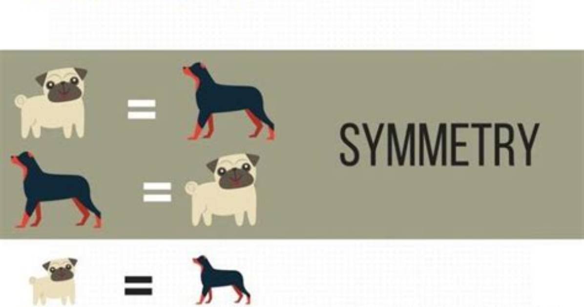 What Is Stimulus Equivalence Aba