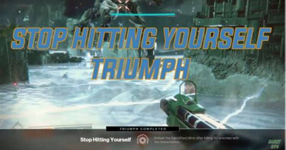 What Is Stop Hitting Yourself Destiny 2?