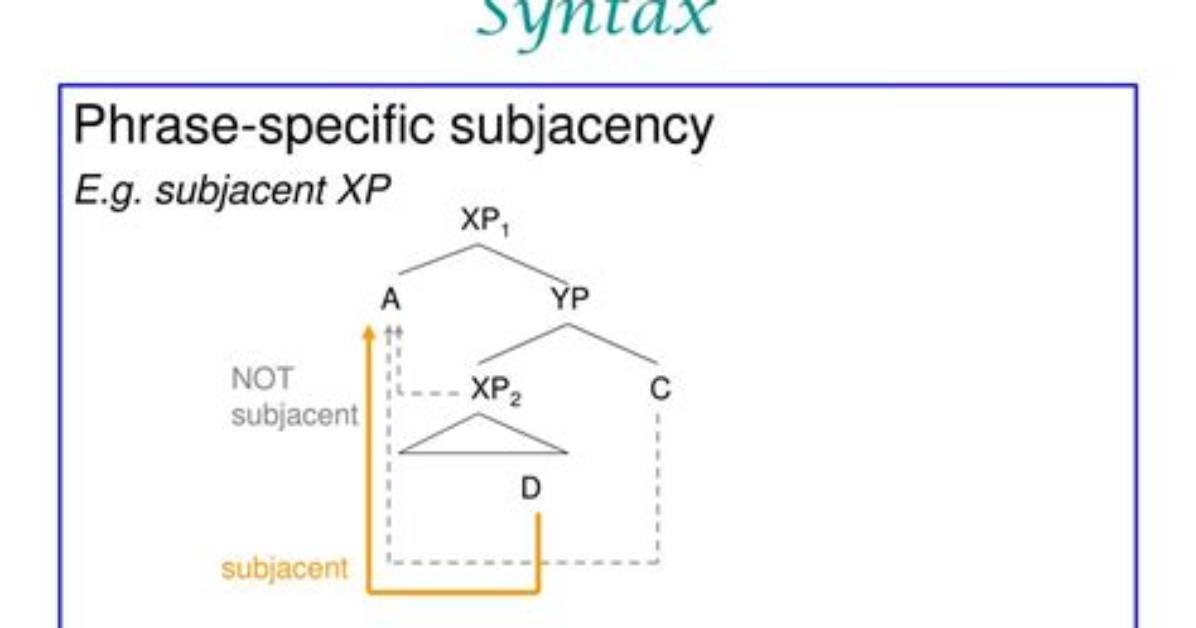 What Is Subjacency in Syntax?