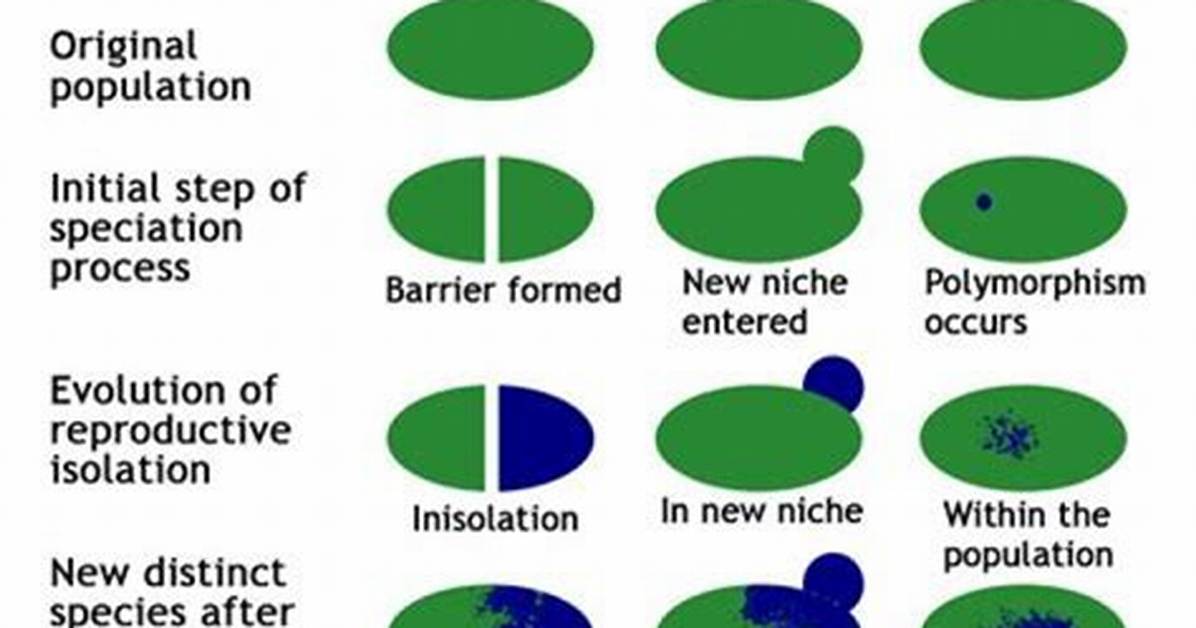 What Is Sudden Speciation