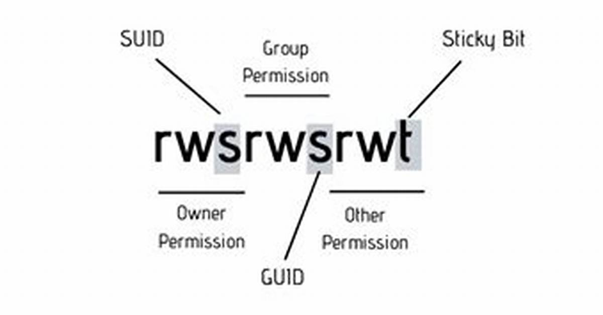 What Is Suid Bit Linux?