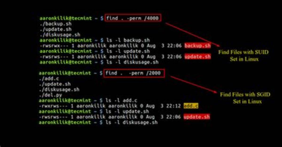 What Is Suid in Linux?