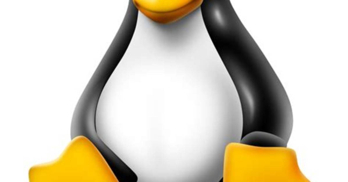 What Is Symbol Called in Linux?