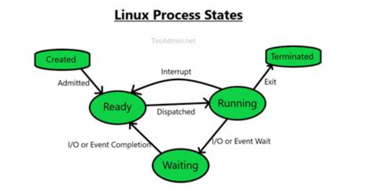 What Is System Process in Linux?