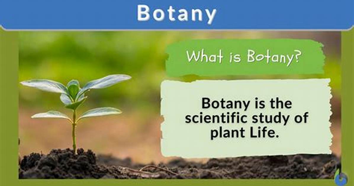 What Is Terminalization in Botany?