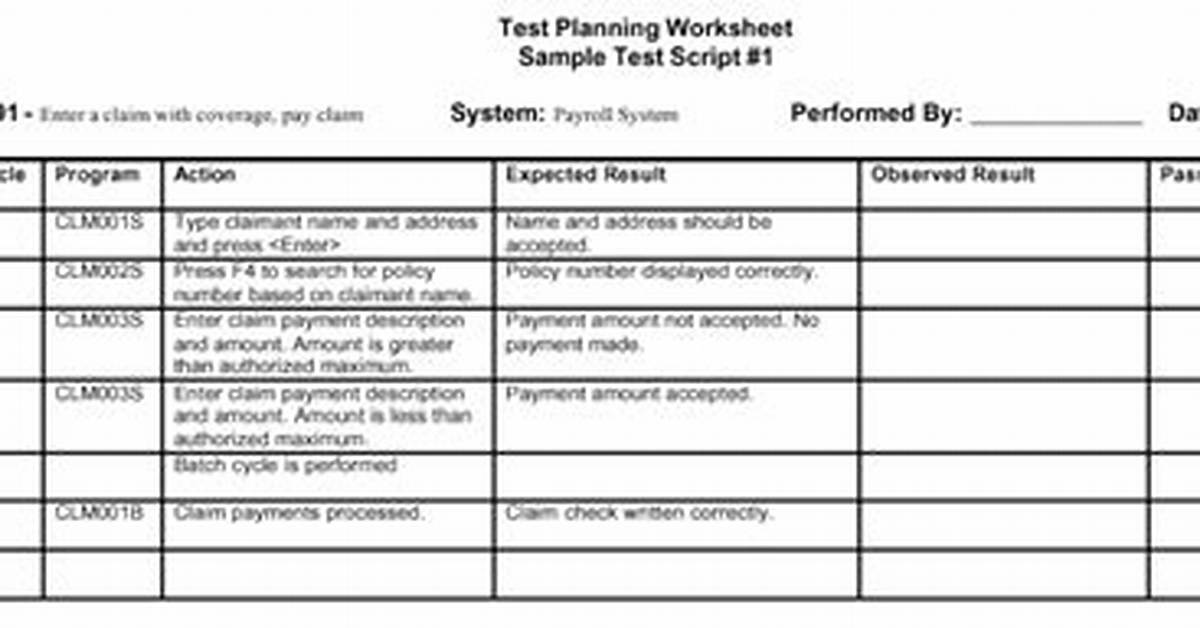 What Is Test Script with Example