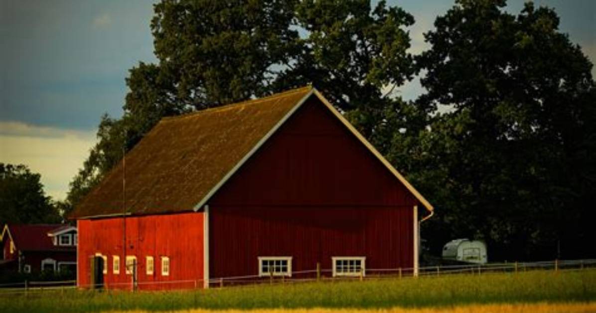 What Is the Barn