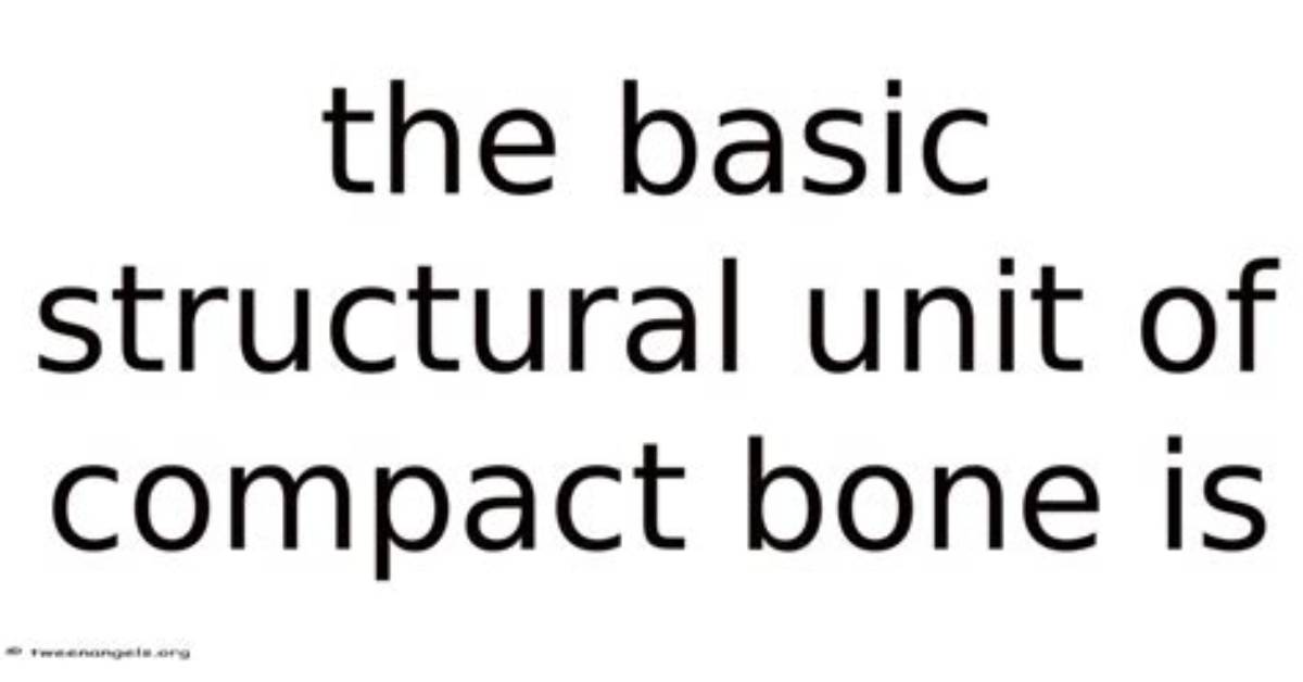 What Is the Basic Structural Unit of the Body?