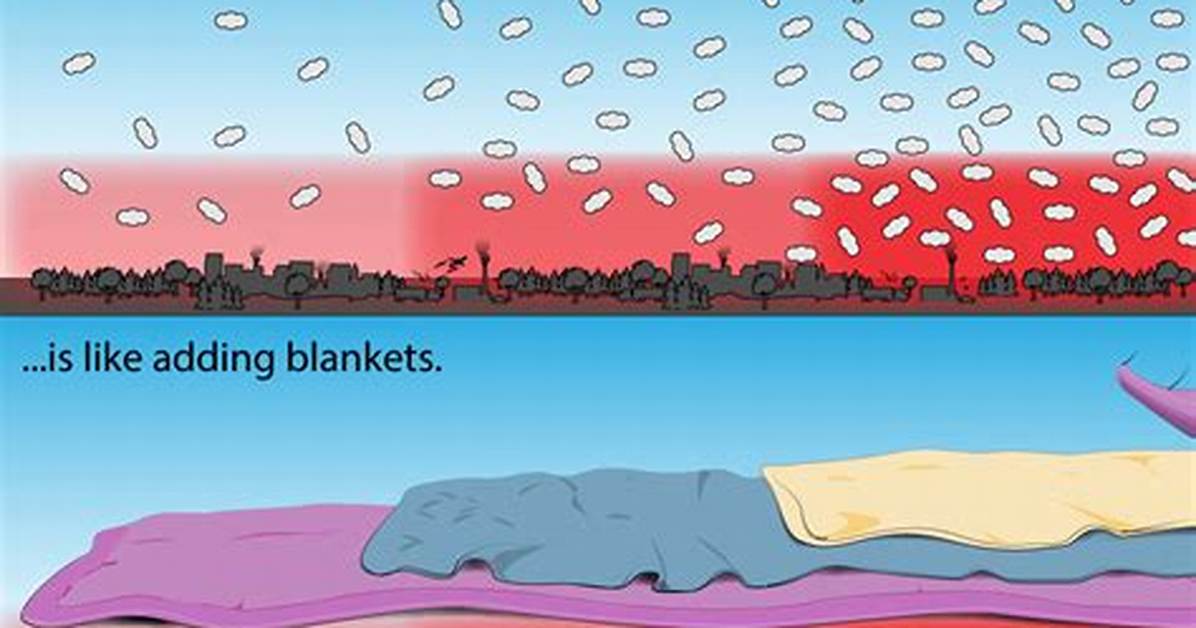 What Is the Blanket Effect?
