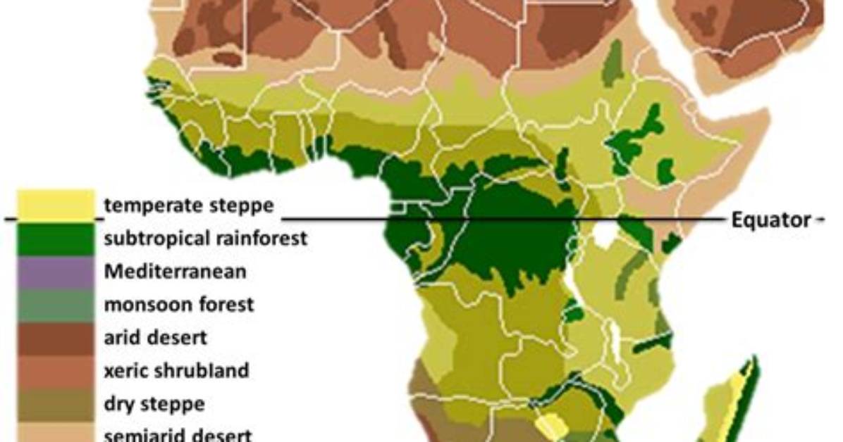 What Is the Climate in Sahara