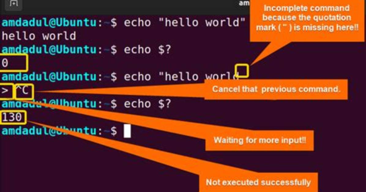 What Is the Command to Exit a Console Application in C#?