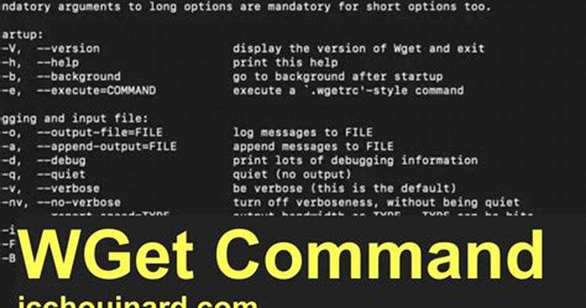 What Is the Correct Wget Command Syntax for Https with Username and Password?