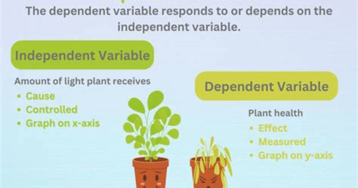 What Is the Dependent Variable in a Yeast Experiment