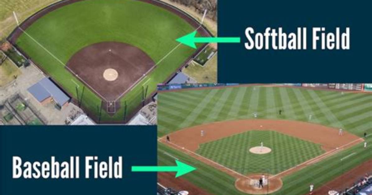 What Is the Difference Between a Field and a Property?