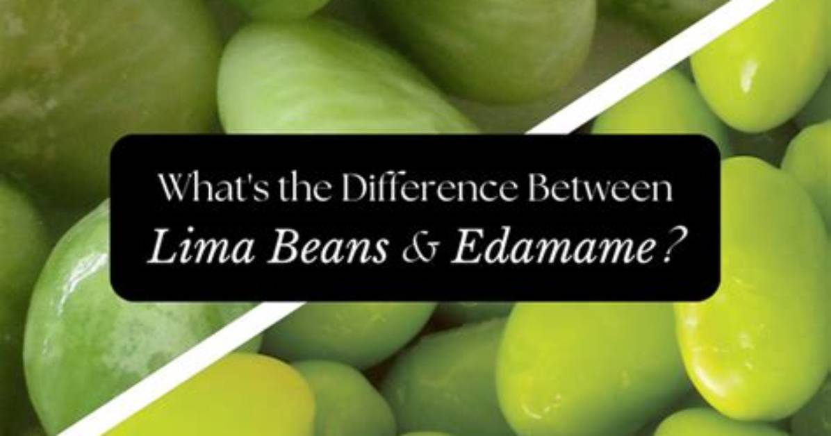 What Is the Difference Between a Lima Bean and a Butterbean
