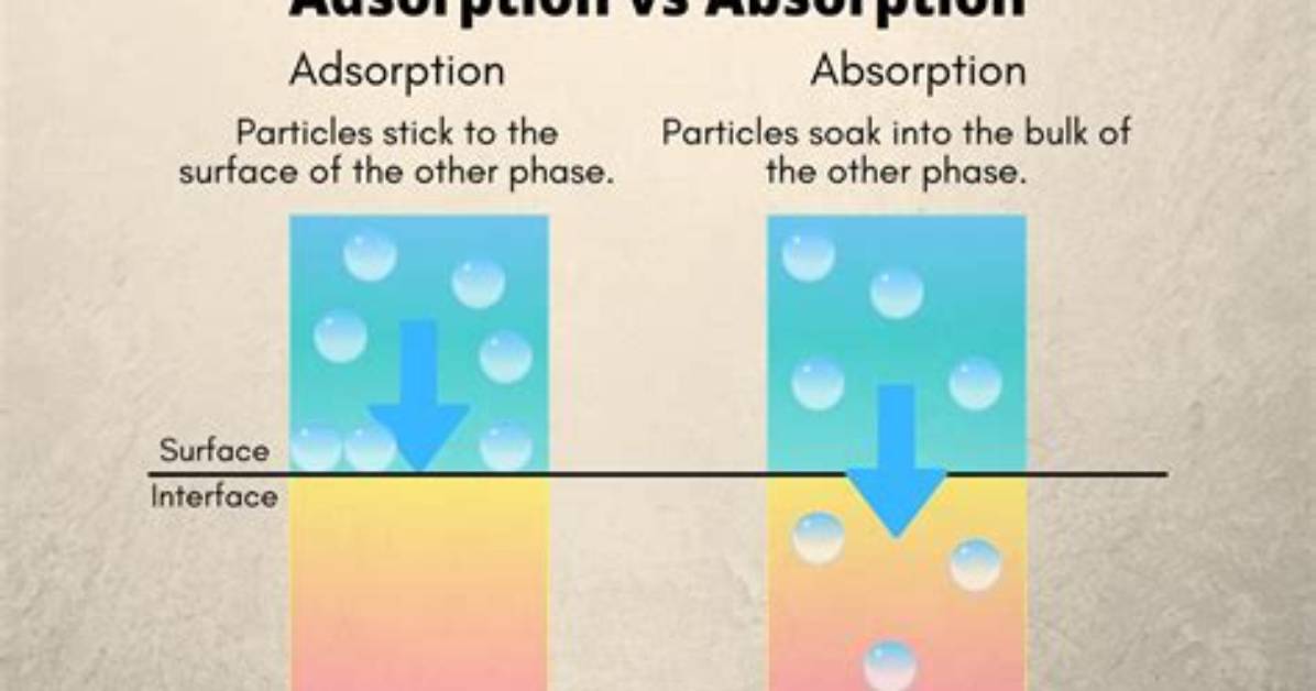 What Is the Difference Between Adsorption and Absorption?