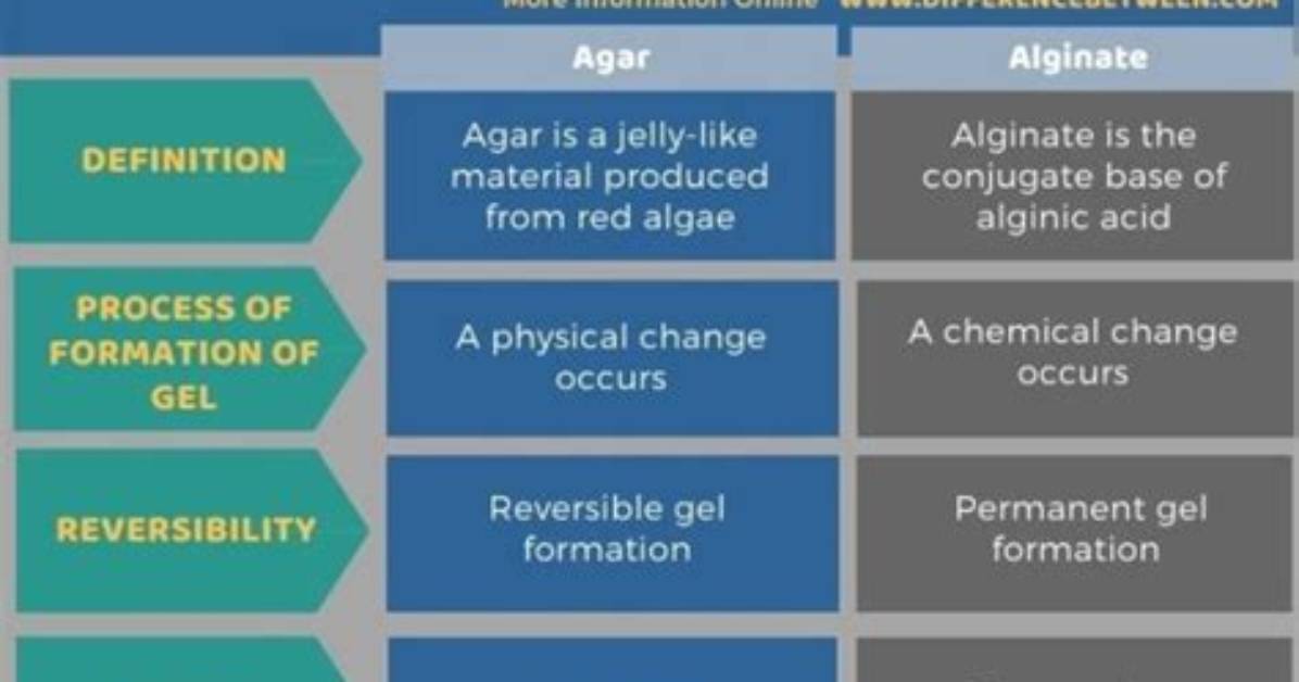 What Is the Difference Between Alginate and Calcium Alginate?