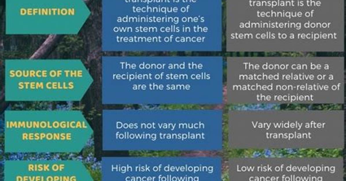 What Is the Difference Between Allogeneic and Autologous?