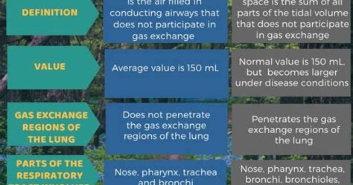What Is the Difference Between Anatomical Dead Space and Physiological Dead Space?