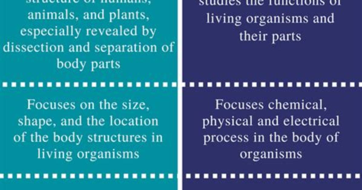 What Is the Difference Between Anatomy and Biology?
