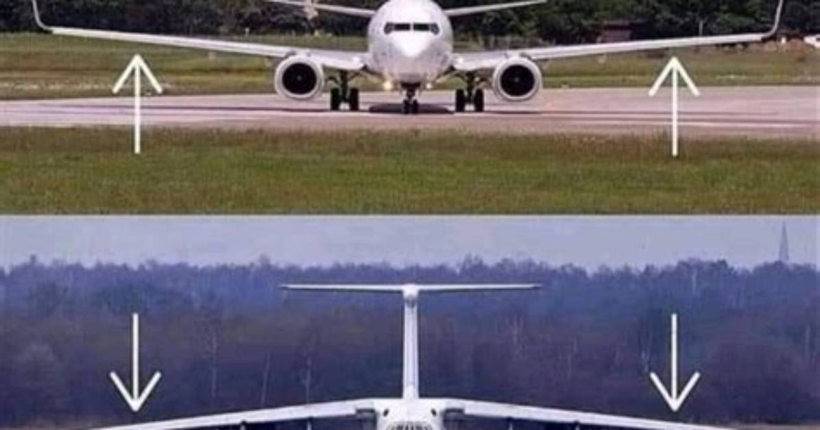 What Is the Difference Between Anhedral and Dihedral?