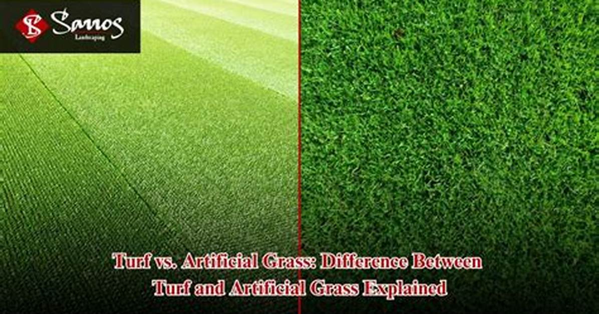 What Is the Difference Between Artificial and Synthetic