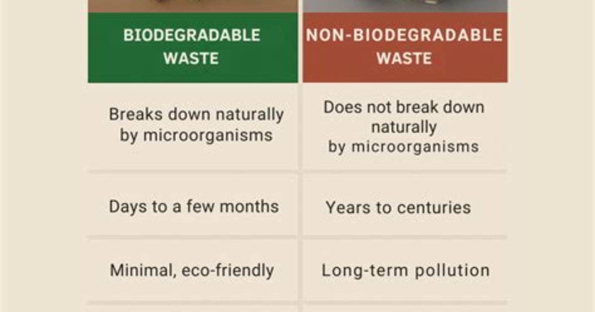 What Is the Difference Between Biodegradable Waste and Non Biodegradable Waste