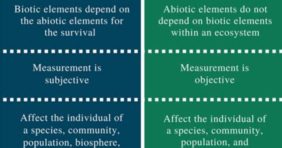 What Is the Difference Between Biotic and Abiotic