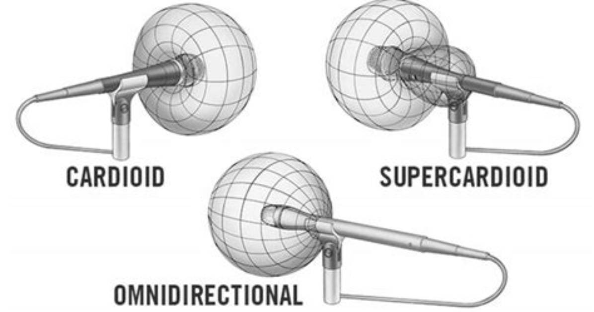 What Is the Difference Between Cardioid and Supercardioid?