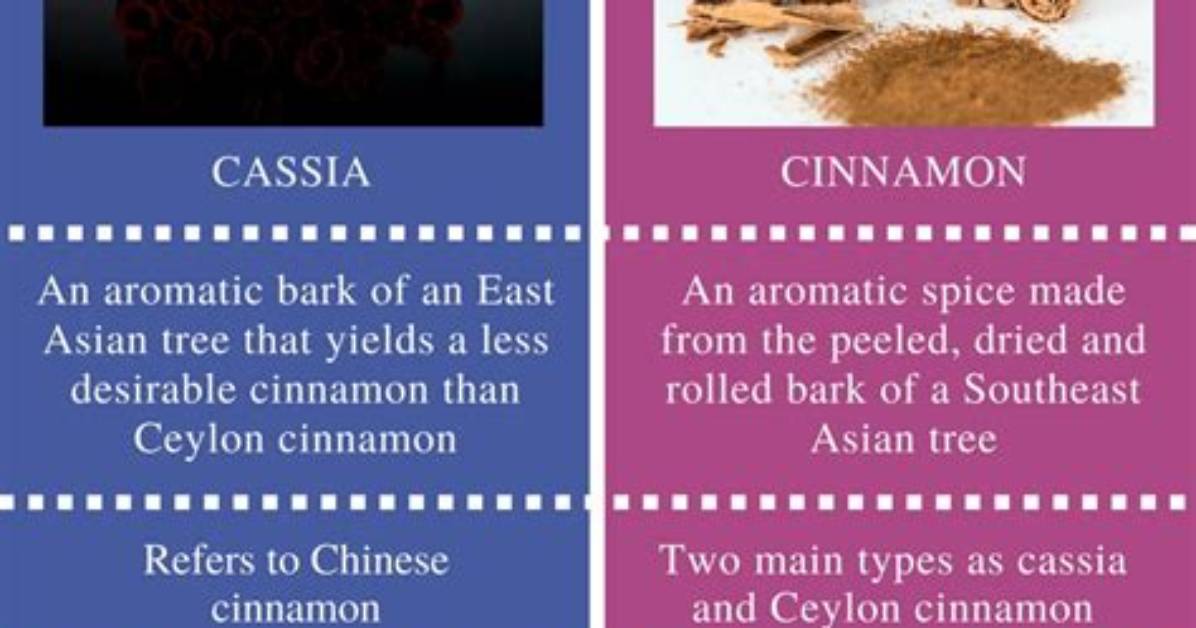 What Is the Difference Between Cassia and Cinnamon Bark