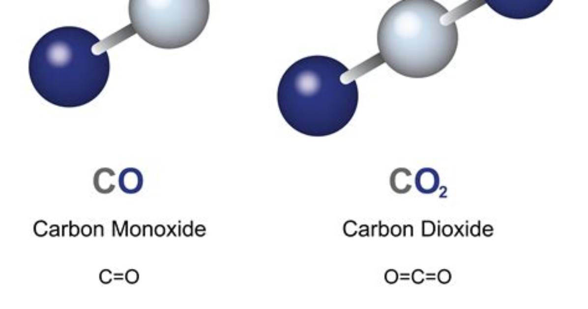 What Is the Difference Between Co Obligant and Guarantor?