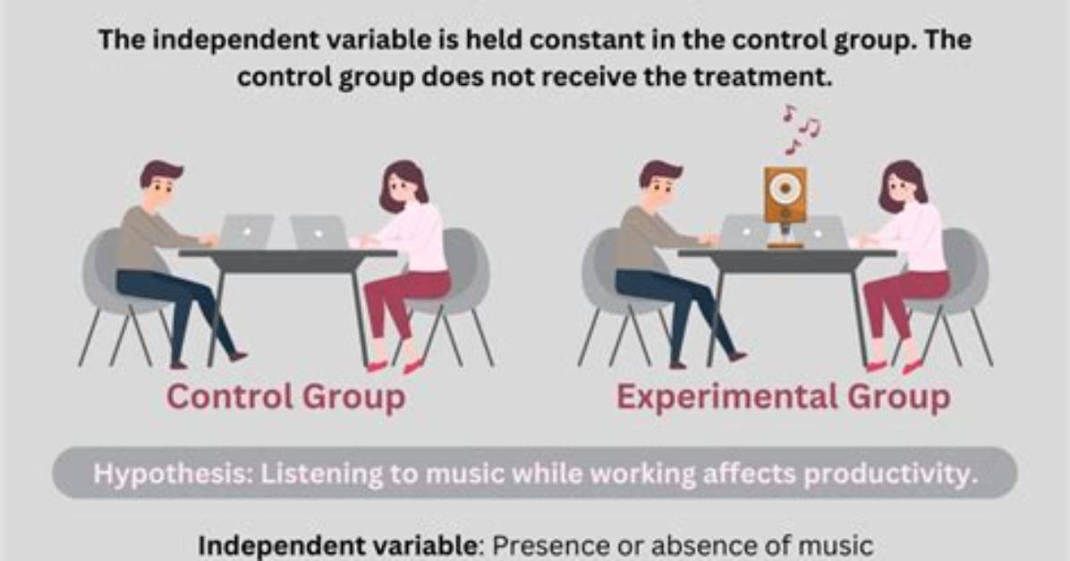 What Is the Difference Between Control Group and Experimental Group