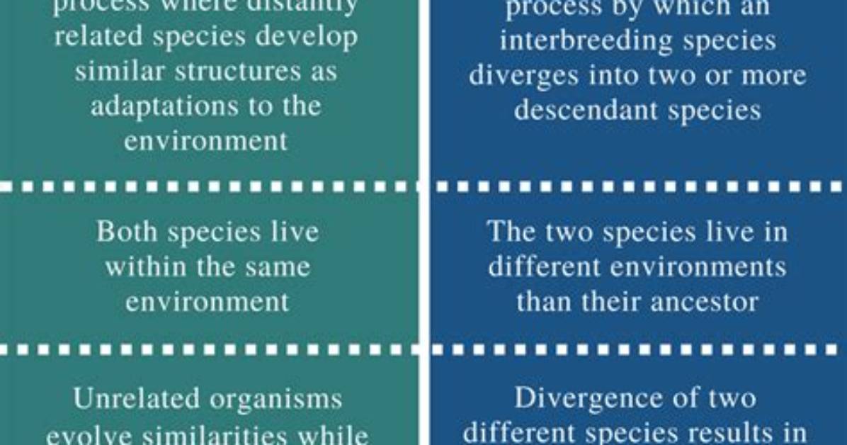 What Is the Difference Between Convergent and Divergent Volcanism