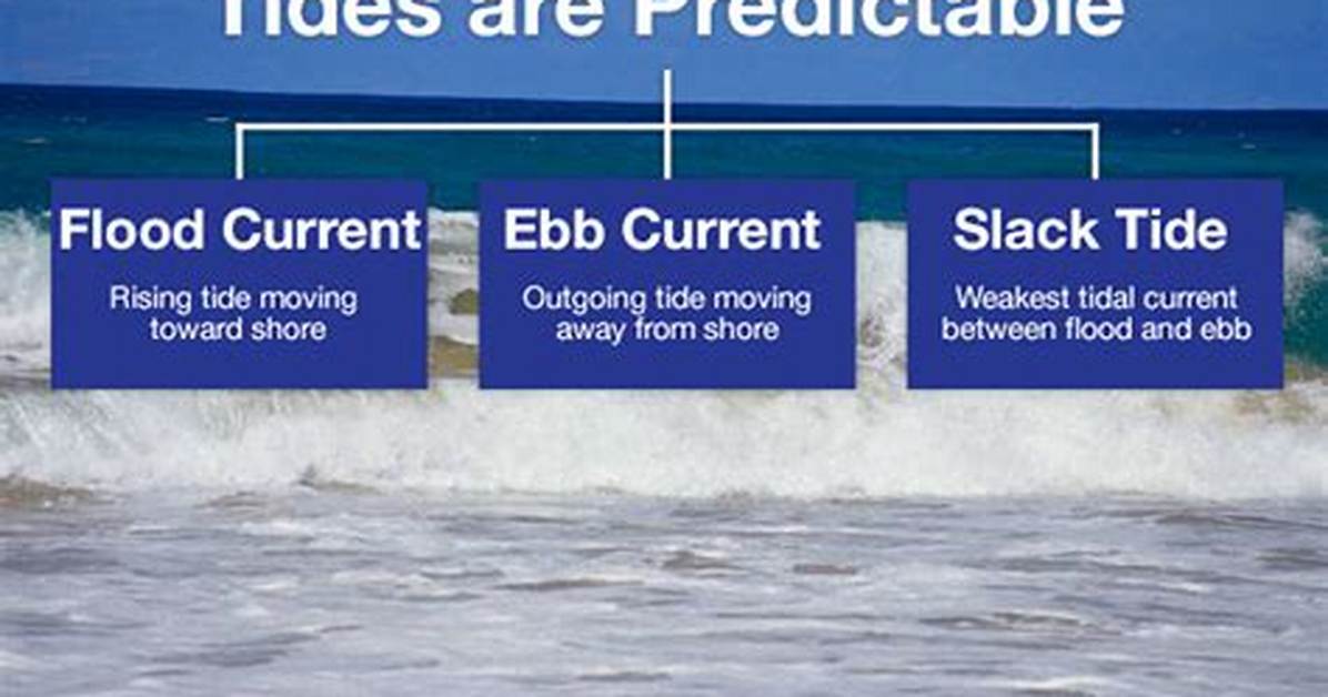 What Is the Difference Between Ebb and Flow