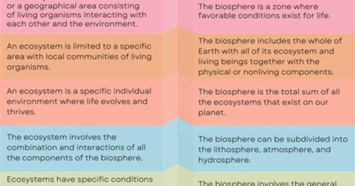 What Is the Difference Between Ecosystem and Community
