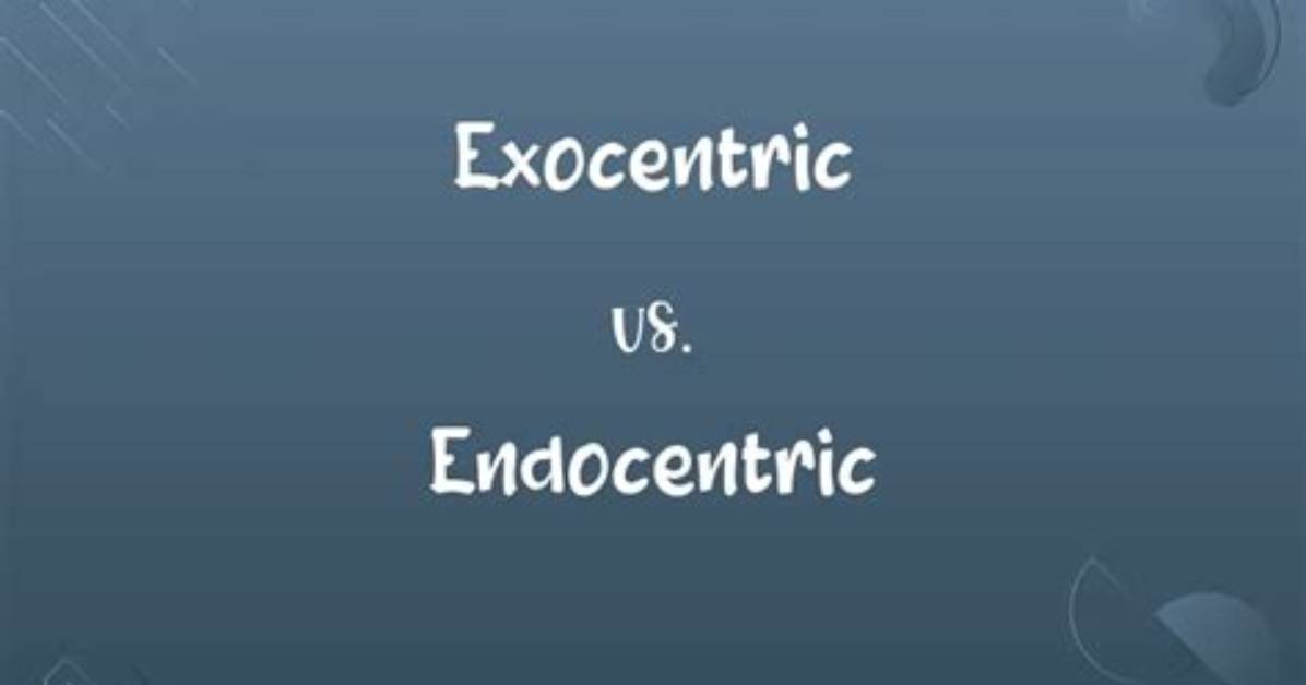 What Is the Difference Between Endocentric and Exocentric Compounds?