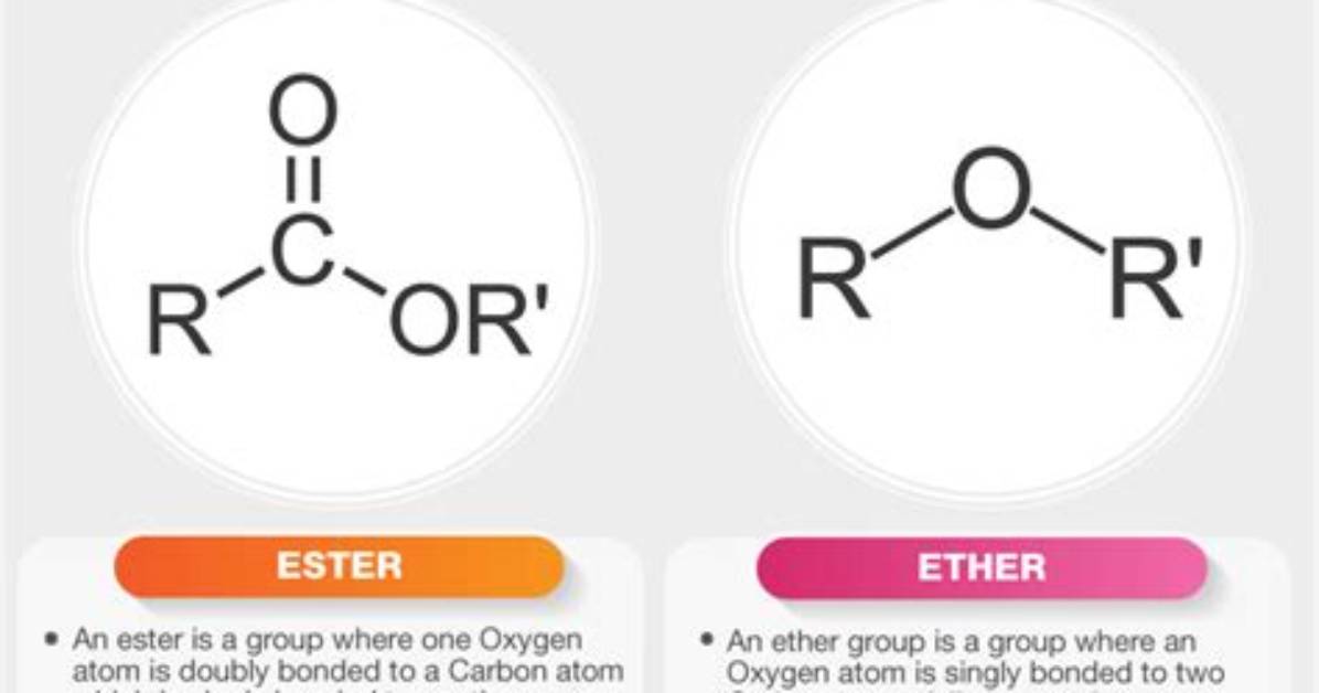 What Is the Difference Between Ether and Diethyl Ether?