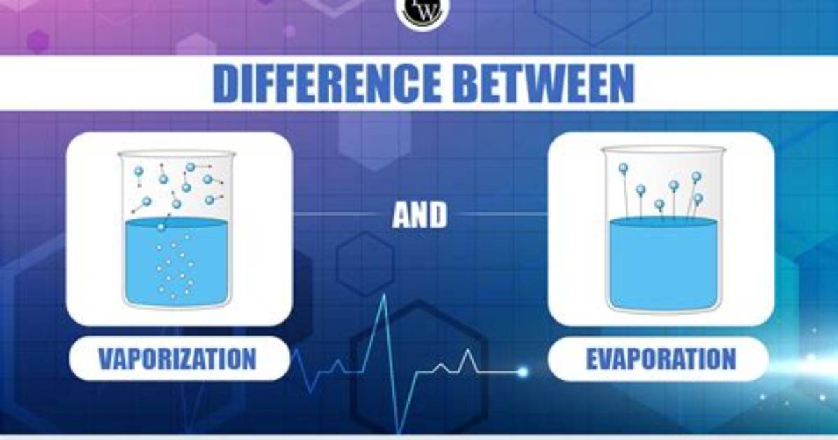 What Is the Difference Between Evaporation and Transpiration?