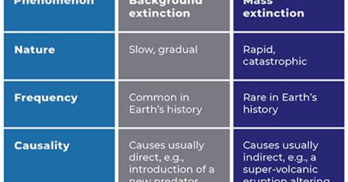 What Is the Difference Between Extinction and Spontaneous Recovery