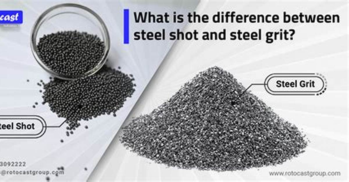 What Is the Difference Between Grit and Oyster Shells