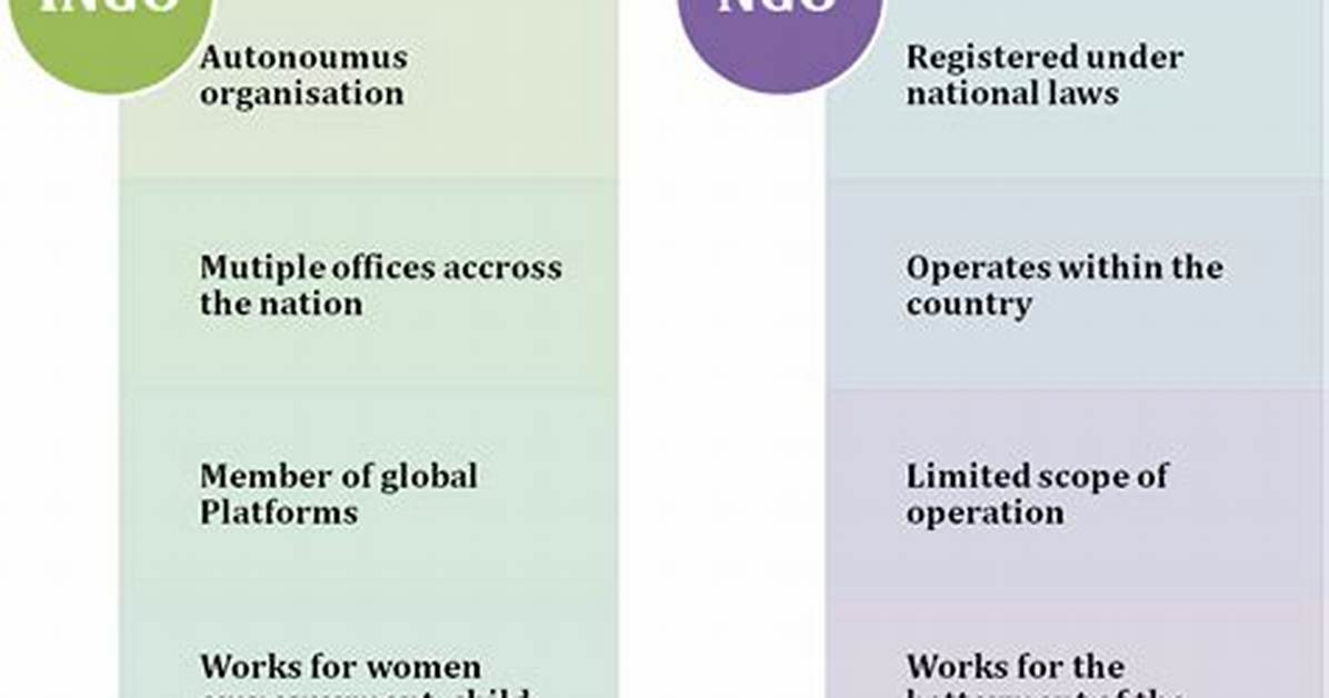 What Is the Difference Between Igos and Ngos?