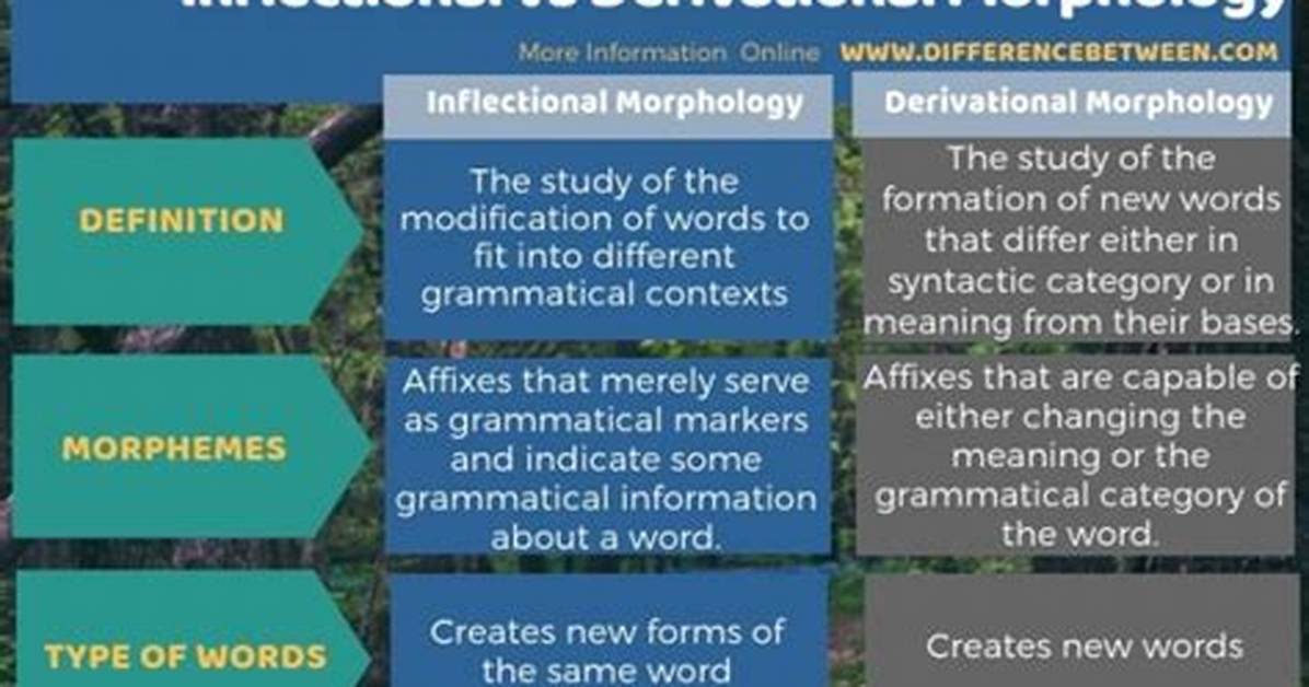 What Is the Difference Between Inflectional and Derivational Affixes?