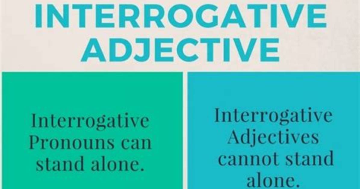 What Is the Difference Between Interrogative Pronoun and Interrogative Adjective?