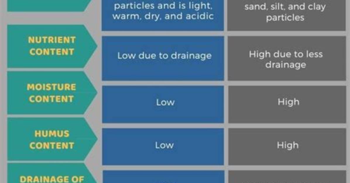 What Is the Difference Between Loam and Compost