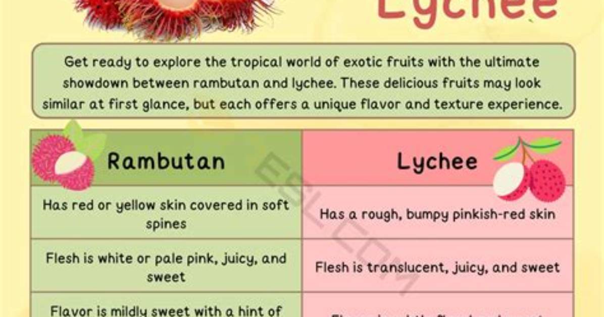 What Is the Difference Between Lychee and Rambutan?
