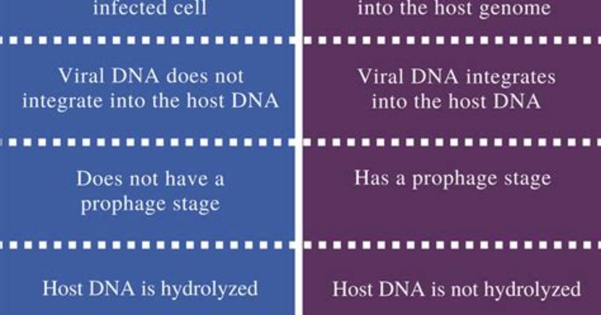 What Is the Difference Between Lytic and Lysogenic Cycle