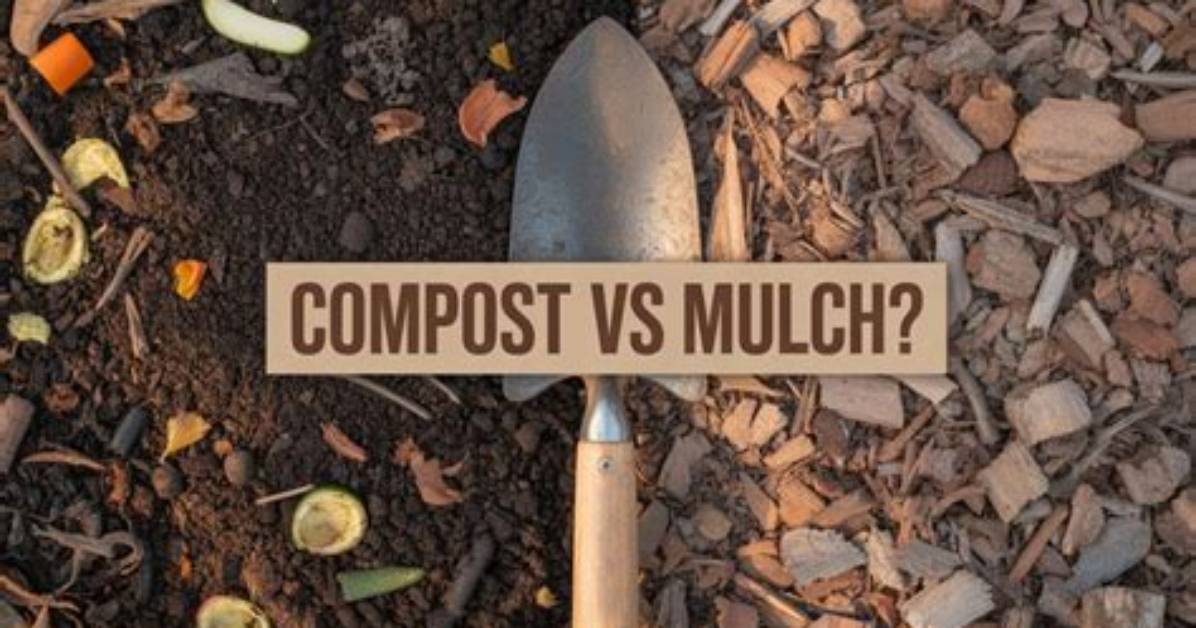 What Is the Difference Between Mulch and Compost